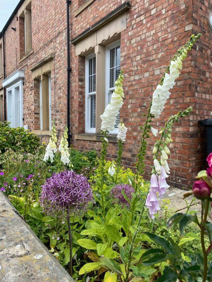Walkers Retreat Is A Beautiful Apartment In Hexham Exterior photo